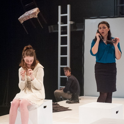 The Glass Menagerie (WUDS)